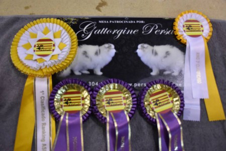 Titulos de hubbert y fifina